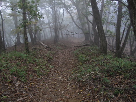 20151021hike (276)
